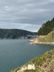 Looking back down the Dart Estuary, from Inner Froward Point - Dartmouth Castle in view